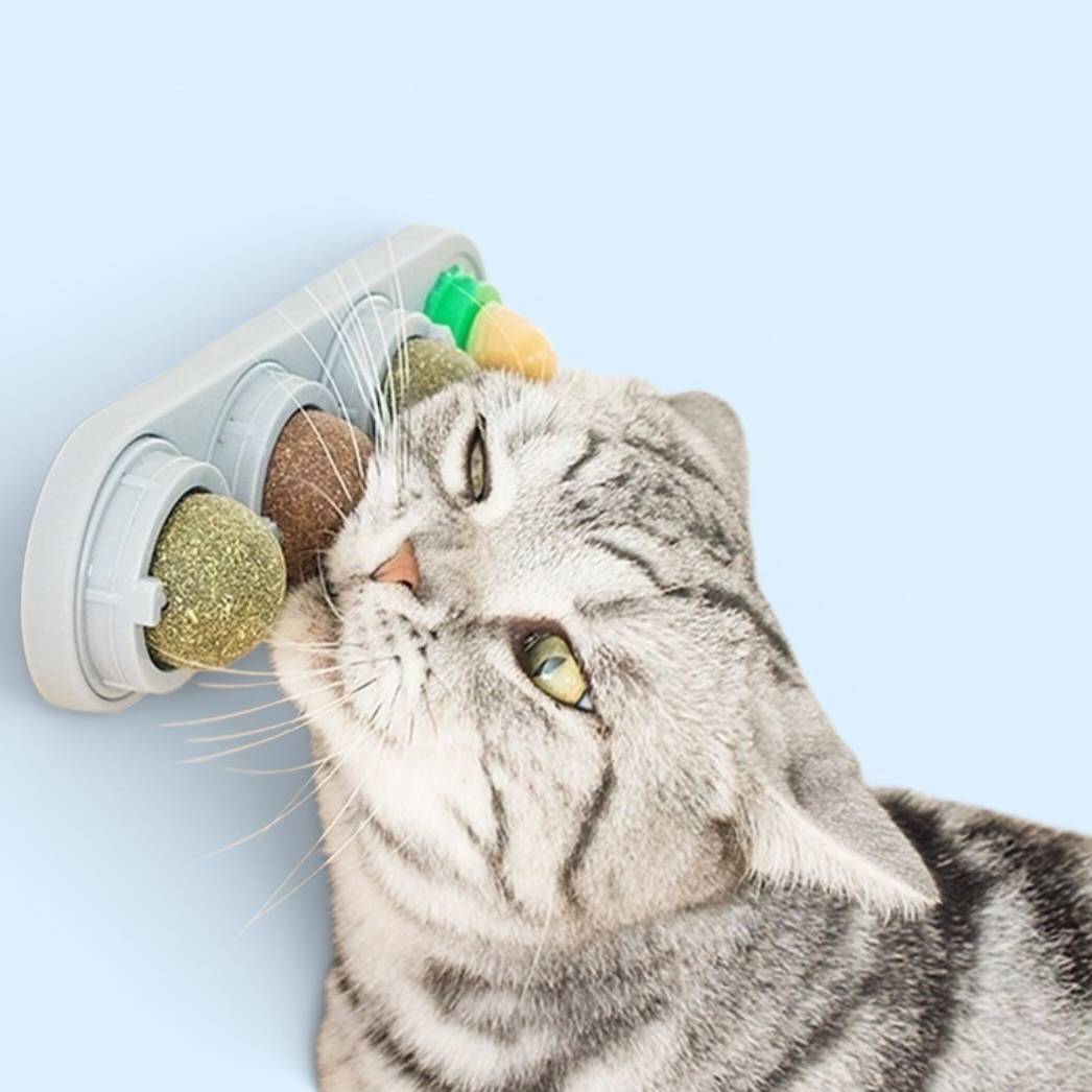Lavipaw — Rotating Catnip Balls
